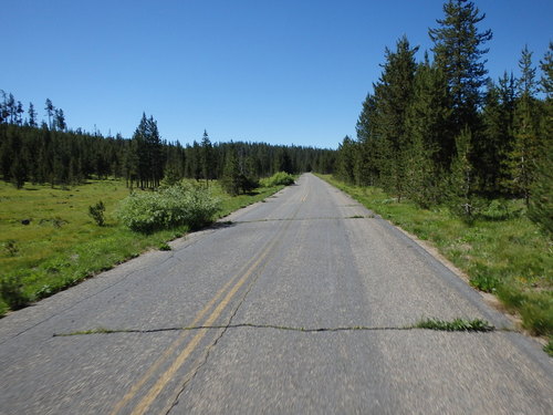 GDMBR: We notice that the road is not maintained from trees or shrubs.